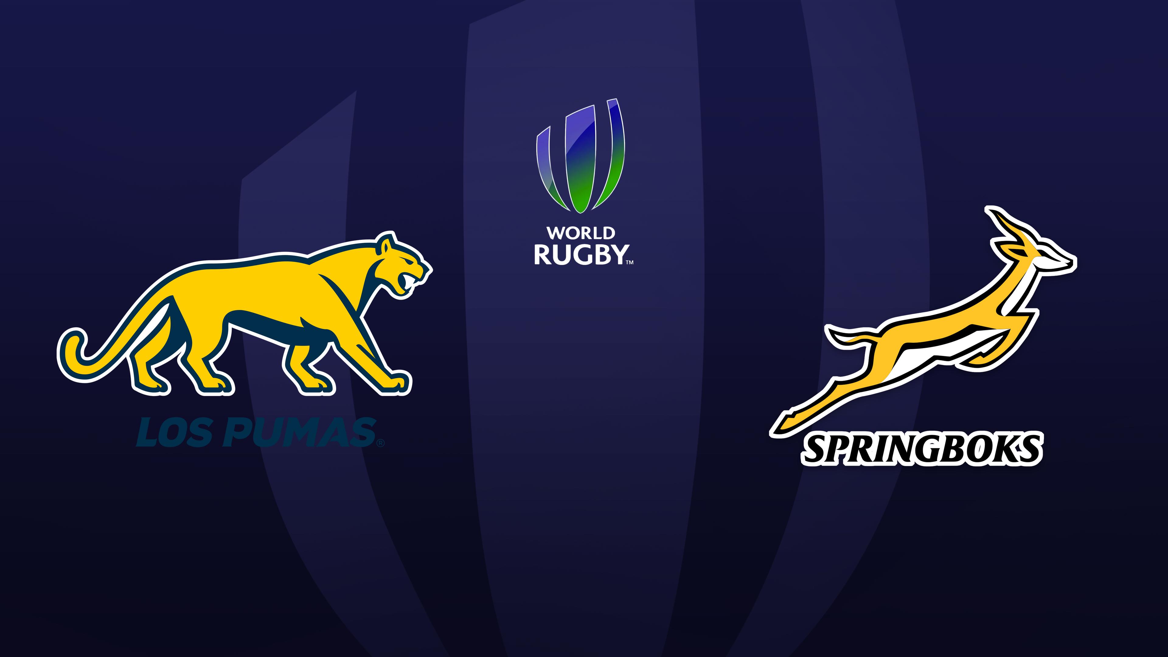 Argentina vs. South Africa - Rugby Union Internationals