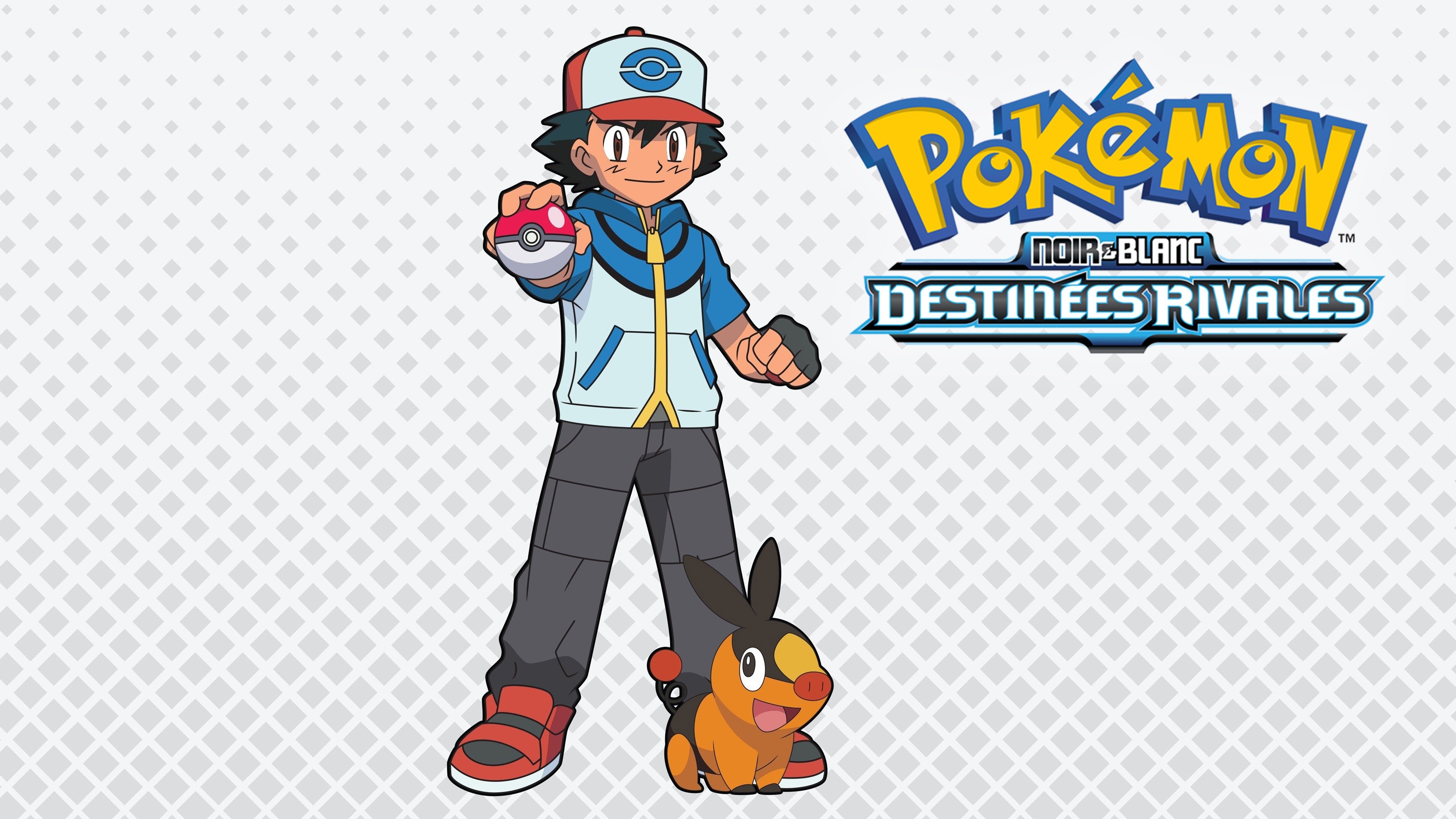 Pokémon noir et blanc : destinées rivales